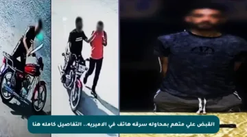 القبض على متهم بمحاولة سرقة هاتف في الأميرية.. التفاصيل كاملة هنا